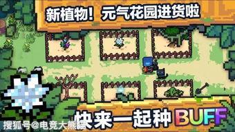元气骑士最新爆料八月,元气骑士揭秘神秘新内容