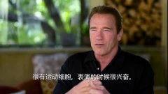 阿诺视频爆料最新,揭秘娱乐圈最新内幕，独家猛料来袭！
